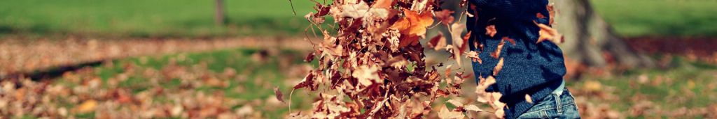 boy-child-dry-leaves-36965-22556a1f