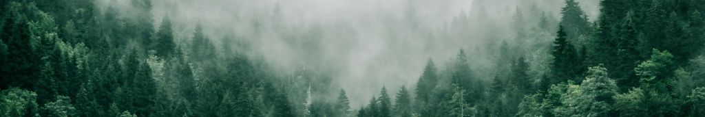 marita-kavelashvili-ugnrXk1129g-unsplash-1-e1719bd3